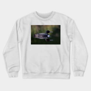 Reflective Loon - Common Loon Crewneck Sweatshirt